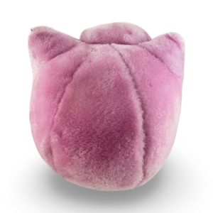 WhatsApp Image 2025 10 10 at 21.05.24 6eb3ae5f