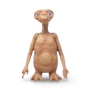 WhatsApp Image 2025 10 15 at 11.09.10 536a21ef