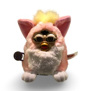 WhatsApp Image 2025 10 26 at 12.35.00 e781ae1c