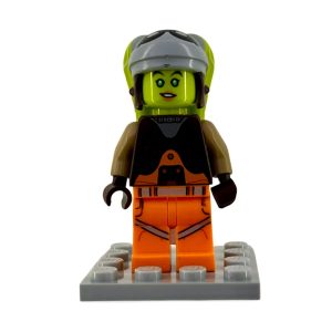 WhatsApp Image 2026 01 30 at 14.13.54