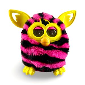 WhatsApp Image 2026 02 08 at 10.42.16