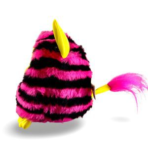 WhatsApp Image 2026 02 08 at 10.42.162