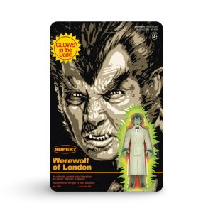 WhatsApp Image 2026 02 08 at 21.35.19