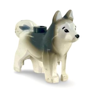 WhatsApp Image 2026 02 20 at 06.09.166