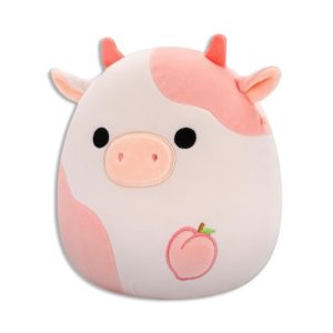 WhatsApp Image 2026 04 19 at 10.48.37